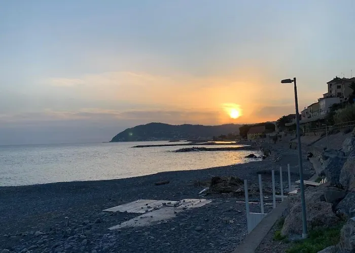 Bellissima Cervo