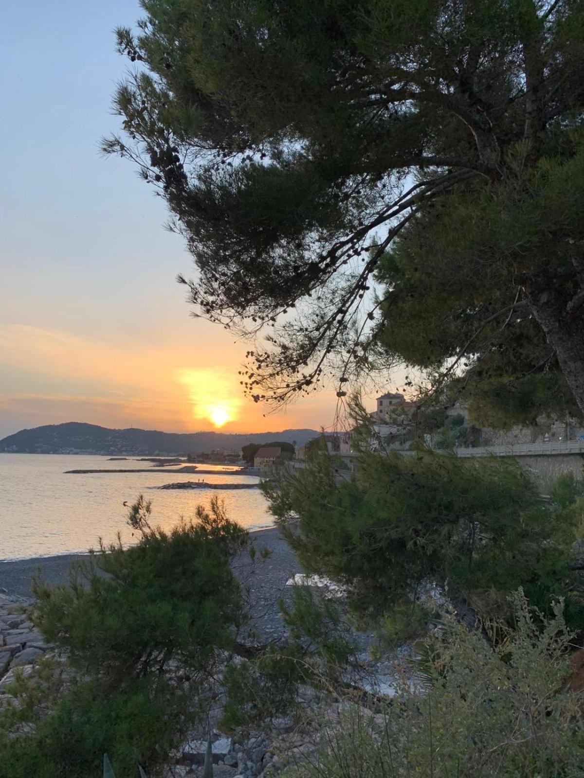Bellissima * Cervo